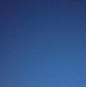 Meet your Posher, Patty